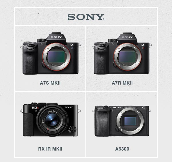 Sony Cameras