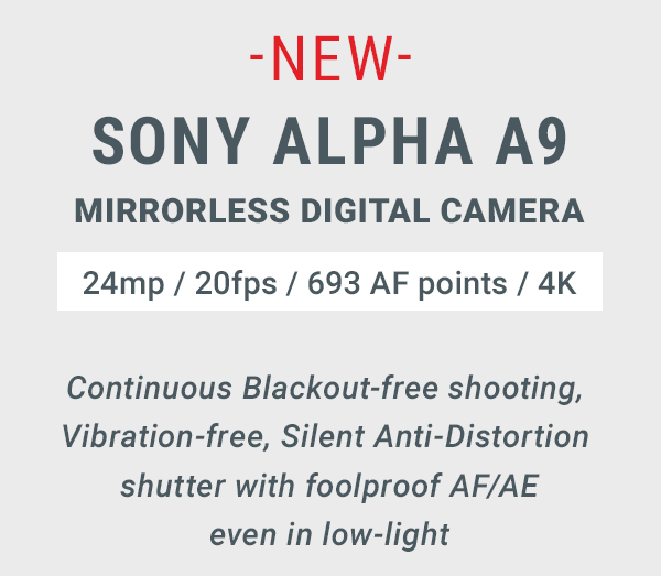 HSony Alpha A9 - View Kit
